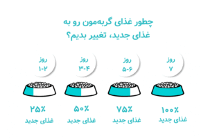چطور غذای گربه مون رو عوض کنیم؟