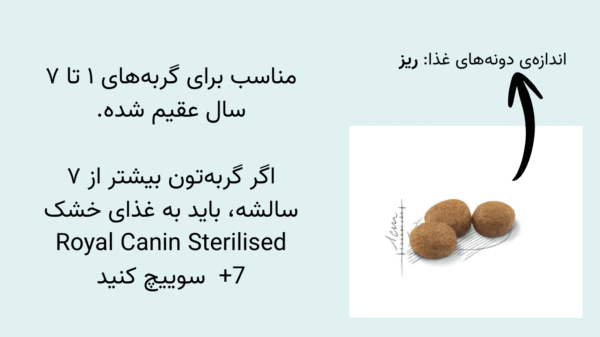 اندازه دانه های غذا خشک گربه عقیم شده رویال کنین
