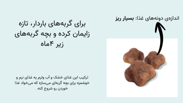دانه های غذا رویال کنین مادر و بچه گربه