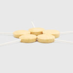 آبنبات چوبی گربه رانوا طعم مرغ و کدو تنبل Ranova Cat Lollipop Pumpkin - Image 5