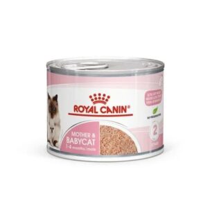کنسرو گربه مادر اند بیبی رویال کنین