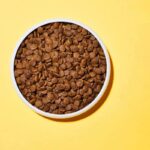 خرید غذای خشک گربه