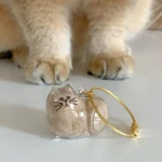 گربه و جاکلیدی نگهدارنده موی گربه