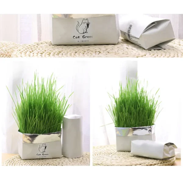 بسته بندی علف گربه
