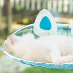 جای خواب شیشه‌ای گربه‌ فانتزی - Image 4