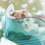 جای خواب شیشه‌ای گربه‌ فانتزی - Image 6