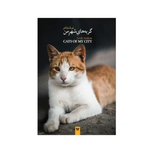 کتاب گربه‌های شهر من نوشته لویک اواکم