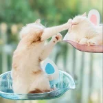 جای خواب شیشه‌ای گربه‌ فانتزی - Image 15