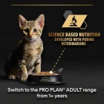 پوچ بچه گربه پرو پلن کیتن هلثی استارت بوقلمون - Image 7